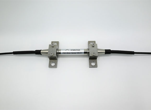 fiber optic strain gauge 2